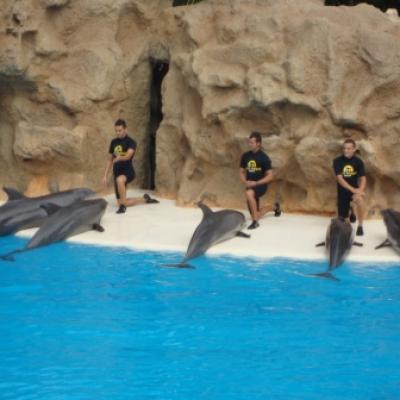 Loro Park