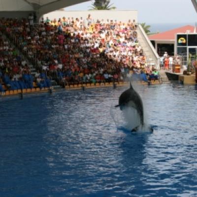 Loro Park Orque